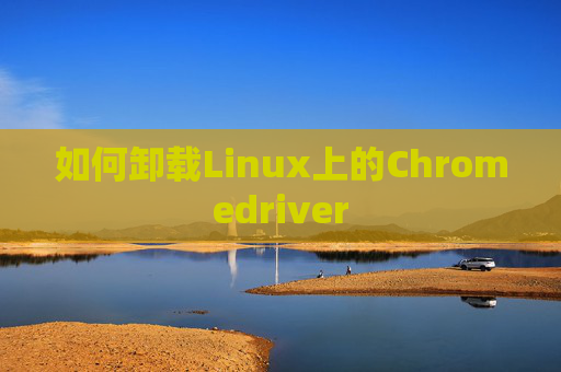 如何卸载Linux上的Chromedriver